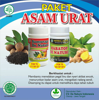 Illustration for article titled Obat Rematik Asam Urat Tradisional